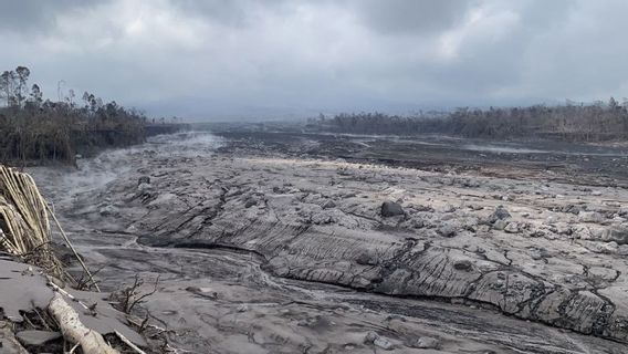 アブ・セメルが被害を受けたスープラン・ルマヤン村の20ヘクタールの土地