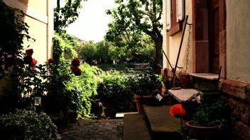 Tips For Making Minimal Parks In Front Of Homes Using Small Crevices