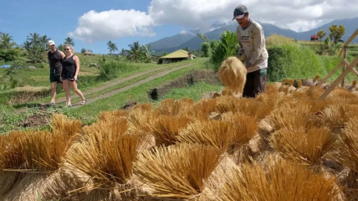 3 Saran BI untuk Majukan Pertanian di Tabanan-Bali 