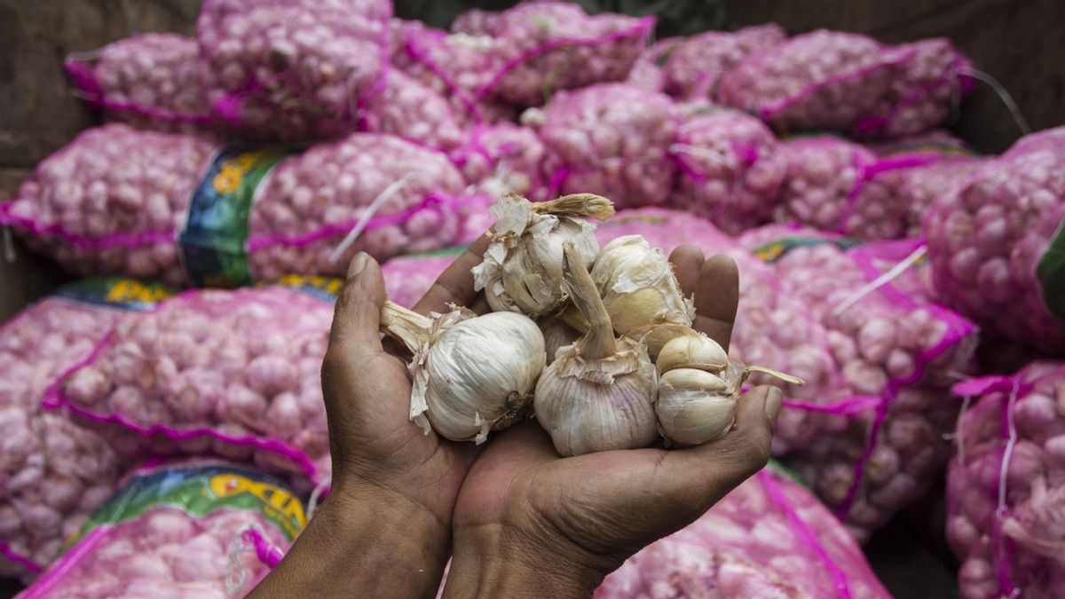 Zulhas Siap Cabut Izin Importir Bawang Putih jika Tak Realisasikan Impor