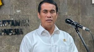 Menteri Pertanian: Pemerintah Perkuat Ketahanan Pangan Mandiri