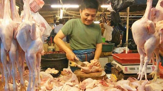 进口鸡肉不可避免，政府要求企业追求生产效率