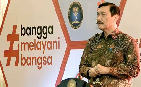 Afrika Ditargetkan jadi Pasar Baterai EV RI, Menko Luhut: Kita Kerja Sama Selesaikan Masalah