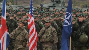  Menteri Pertahanan Swedia Peringatkan NATO Risiko Perang Dunia Ketiga Jika Ikut Campur di Ukraina