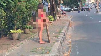 Viral Video Dinar Candy Berbikini di Pinggir Jalan, Bisa Terancam Denda Rp3 Miliar