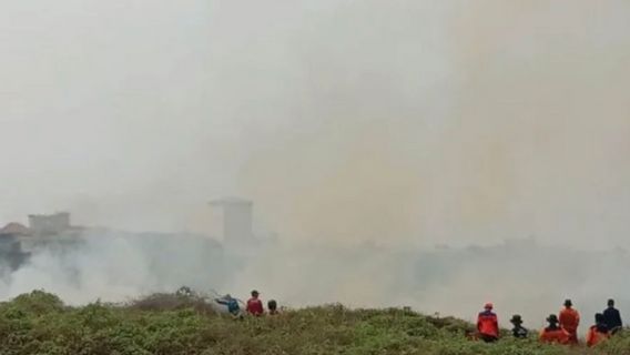 BPBD HSS Kalsel Tangani 141 公顷 土地受到森林和陆地火灾的影响