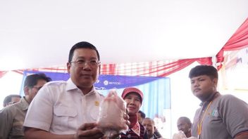 Realisasi Bantuan Telur dan Daging Ayam untuk Keluarga Risiko Stunting Capai 69 Persen