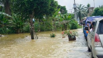 自周五以来,西帕萨曼的洪水,430块农田被洪水淹没