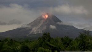 Gunung Merapi Kini Memiliki 2 Kubah Lava Aktif, Simak Penjelasan BPPTKG