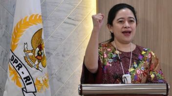 Ada Usulan Fasilitas Isoman Mewah untuk DPR, Puan Maharani: Belum Perlu Dilakukan