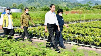 President Encourages Mangrove Forest Rehabilitation Efforts As A Commitment To Facing Climate Change