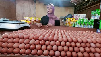 Chicken Egg Traders In The Malabar Market, Tangerang Complaints, The Rising Price Of Omzets Is Decreasing