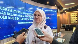 KKP Ungkap Ada Dua Sentra Garam Rusak imbas Banjir Bandang di Sumatera