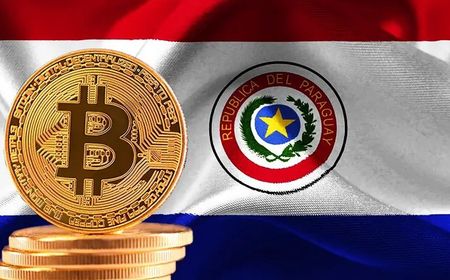 Pengumuman! Paraguay Bakal Jadikan Bitcoin Sebagai Alat Pembayaran yang Sah