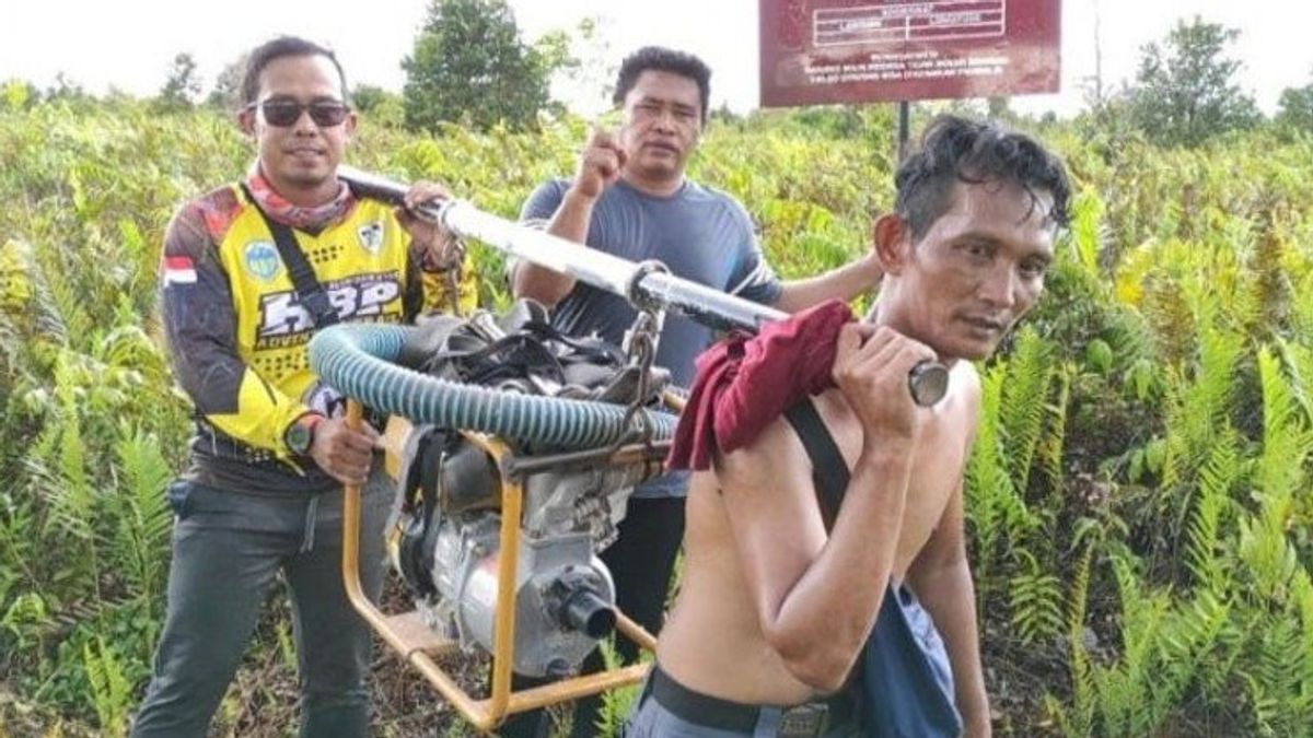 Pemulihan Lahan Gambut di Kalimantan Jadi Syarat Pengembangan Program Pangan