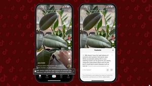 TikTok Luncurkan Footnotes di AS, Fitur Pengecekan yang Mirip dengan Buatan Elon Musk 