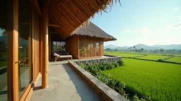 anan: La nature asri de Bali qui attire les touristes pour toujours