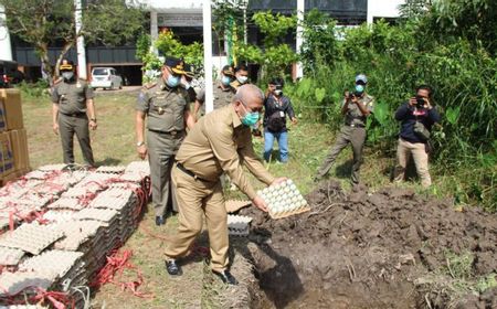 Satpol PP Kalbar Musnahkan 38.880 Telur Ilegal