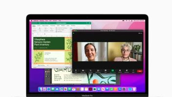 Apple Merencanakan Bakal Luncurkan MacBook OLED 13,3 Inci di 2024