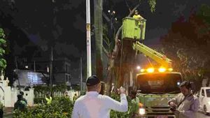 Pohon di Jalan Metro Pondok Indah Diremajakan Buntut Kecelakaan Mobil Lexus