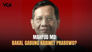 Isu Santer Terdengar, Mahfud MD Bakal Gabung Kabinet Prabowo-Gibran, Kepala Bappisus: Hak Presiden