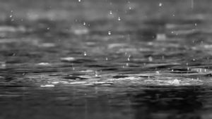Waspada: BMKG Perkirakan Hujan Guyur Jakarta Seharian