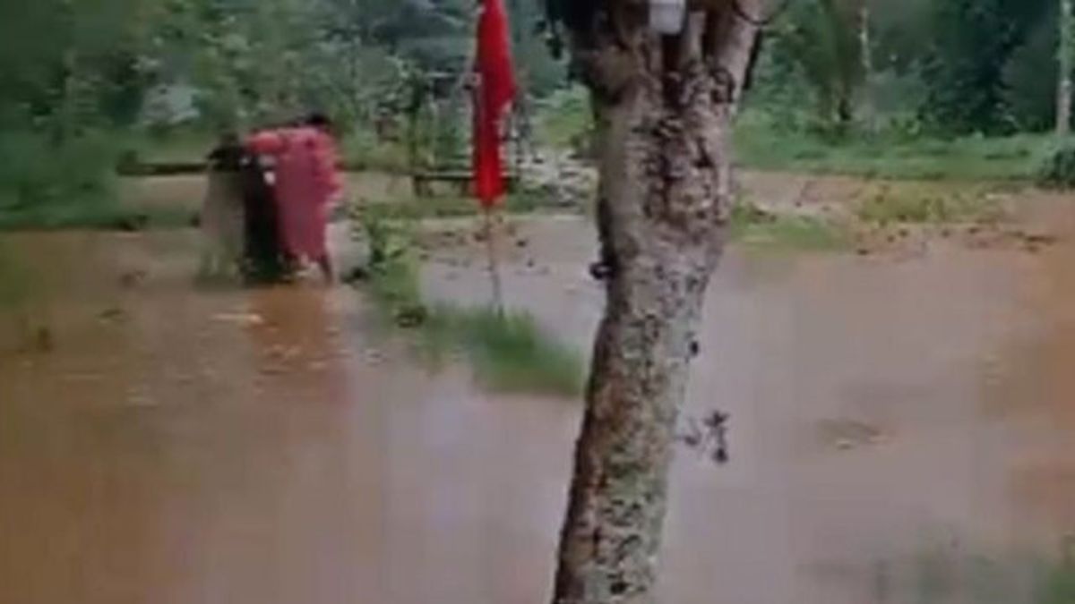 Bendungan Bocor di Sukabumi Rendam Rumah, Lahan Pertanian, dan Tambak Ikan