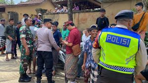  Bule di Bali Mengamuk, Tiba-tiba Naik ke Atap Rumah Warga dan Rusak Genteng