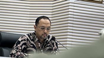 Dewas KPK Ternyata Sudah Panggil Kasatgas Kasus Harun Masiku Terkait Laporan Kubu PDIP