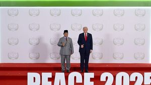 Pembicaraan Trump dan Prabowo Bocor, Pengamat Ingatkan Risiko Konflik Kepentingan