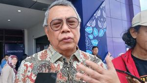Akses Jalan Baru Dibuka, Pemkot Tangsel Percepat Penataan TPA Cipeucang