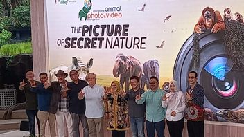 34年間一貫して、サファリパークが再び国際動物写真コンペティションを開催