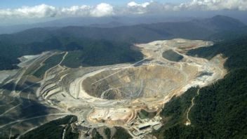 Construction Of Amman Mineral Smelter In West Sumbawa Is Almost Capai 50 Percent, Targeted By Rampung In 2024