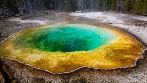 The Discovery Of The Giant Virus In Yellowstone: Guidelines On The Conditions Of Ancient Life On Earth