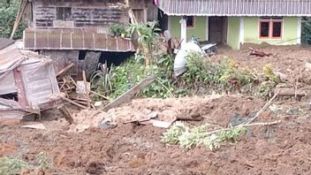 Toraja Landslides Cause 115 Residents Sustaining