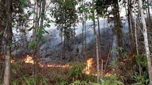 BPBD Sebut Natuna Diselimuti Asap Kiriman dari Kalimantan