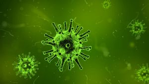 Virus Nipah Malaysia Berpotensi Jadi Pandemi Baru