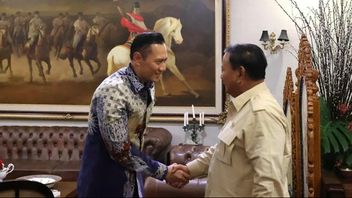 Minim Kritik dan Sering Dipuji, AHY Berpeluang Dampingi Prabowo di 2029