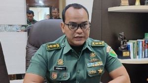 Kepala RS L.B. Moerdani Merauke Ditikam Anggota TNI, Pelaku Ditahan di Denpom