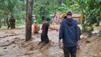 North Sumatra Pusdalops: 9 Regions Set Disaster Emergency Response Status