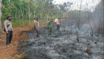 12 Daerah di Sumsel Rawan Karhutla, Status Siaga Masih Menunggu