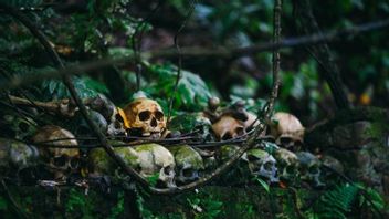 Temuan Tulang Manusia di Pantai Populer di Inggris, Polisi Lakukan Penyelidikan