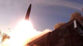 Harap Pakistan-India Jaga Komitmen Gencatan Senjata, Komisi I DPR Dorong RI Bantu Jembatani Konflik