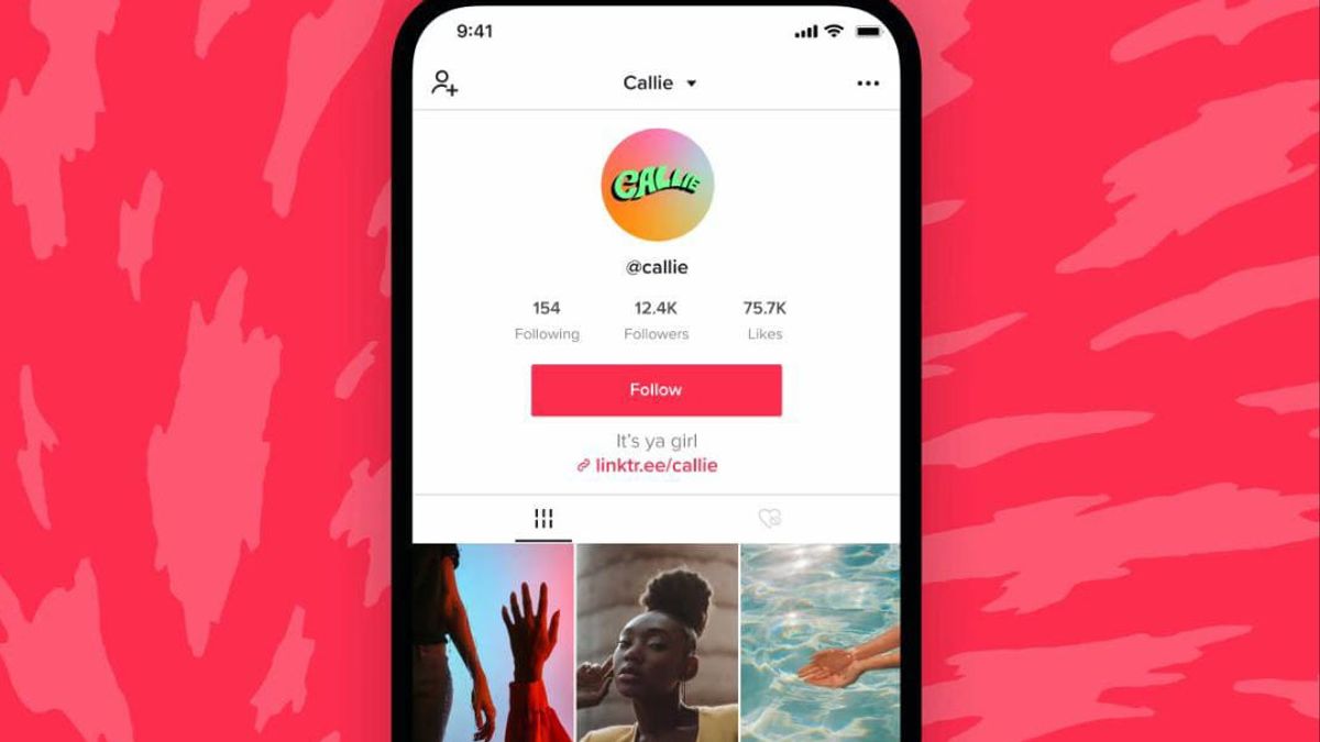 Join Profile Kit, Now Everyone Can See Six TikTok Videos From Linktree