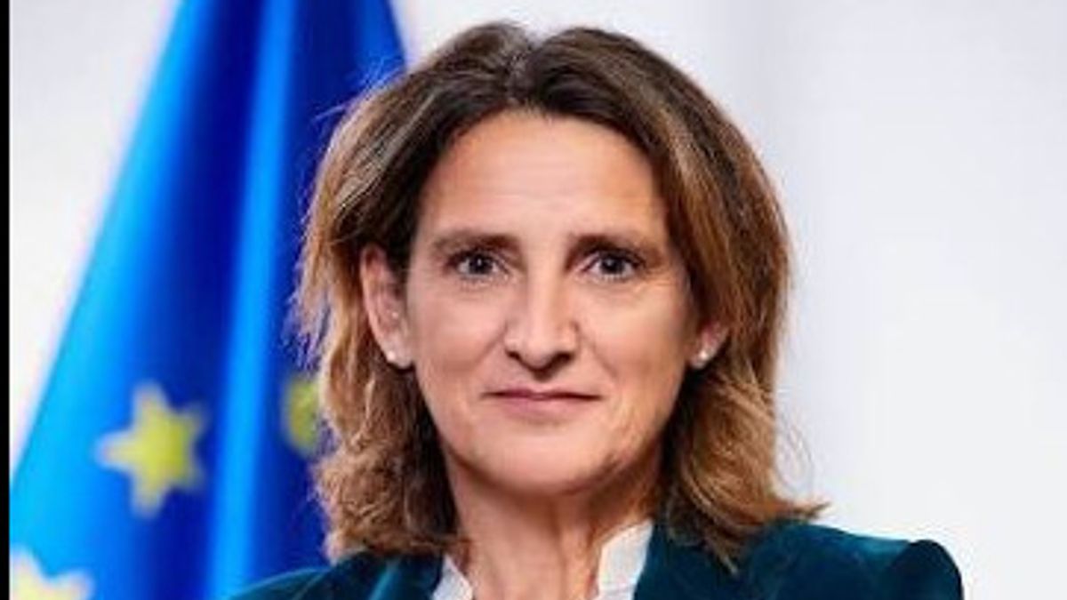 Googleは、AIオーバービューとYouTubeに関するEUの独占禁止法調査に直面しています