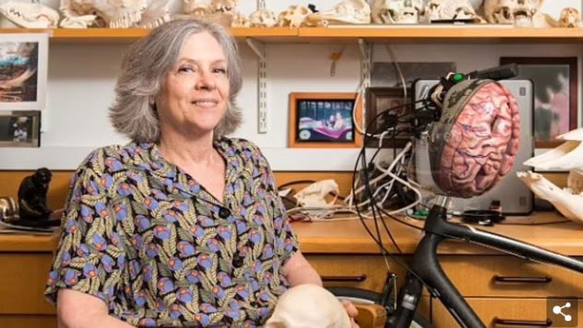 ハーバード大学の神経学者は、サルの子供の目を裂き、縫うことに関する研究のために非難