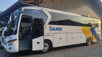Will Serve Passengers For Lebaran 2024 Homecoming, Perum Damri Does Not Use Electric Buses