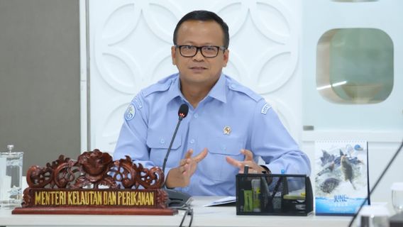 Opening The Lobster Seed Export Faucet, Edhy Prabowo Claims It Will Not Extend