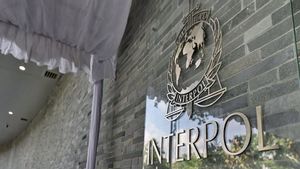 Kadivhubinter Diyakini Mampu Eksekusi Buronan Interpol asal Malaysia