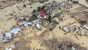Terjebak Banjir Sumatera, 3 Wisatawan Lansia Malaysia Berhasil Dievakuasi TNI AU